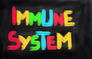46049812 - immune system concept